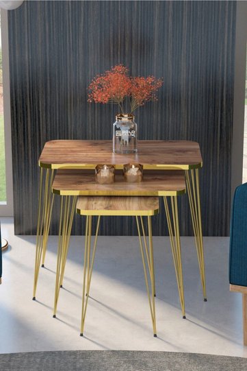Rectangular Nesting Table Set Gold Wire Legs - Walnut