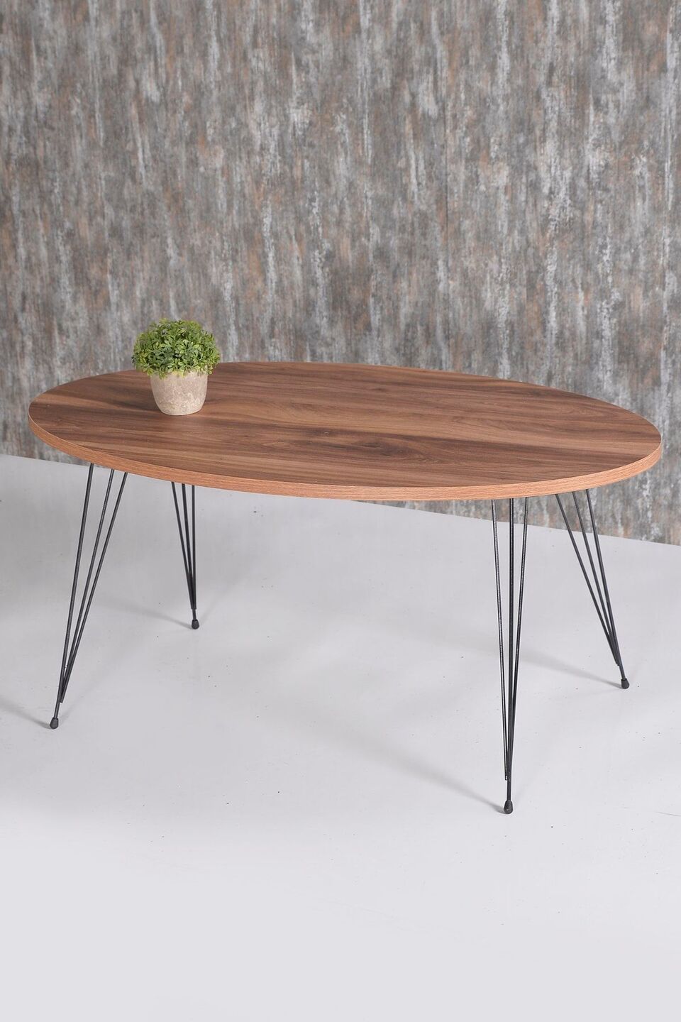 Oval Coffee Table with Wire Legs 7
